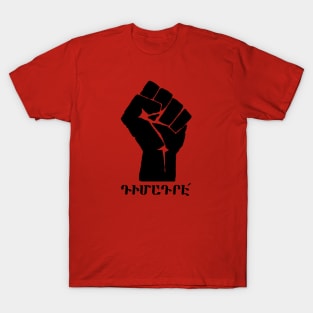 ԴԻՄԱԴՐԷ - RESIST (W. Armenian) T-Shirt